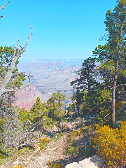 2021-09-15 - Grand Canyon Portrait